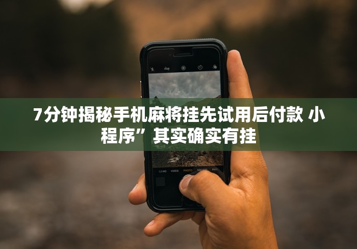 7分钟揭秘手机麻将挂先试用后付款 小程序”其实确实有挂