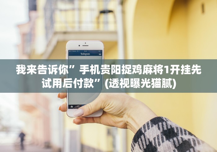 我来告诉你”手机贵阳捉鸡麻将1开挂先试用后付款”(透视曝光猫腻)