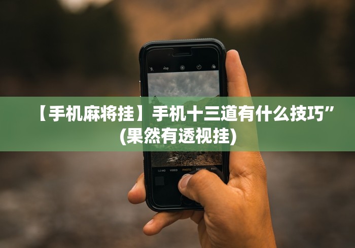 【手机麻将挂】手机十三道有什么技巧”(果然有透视挂)