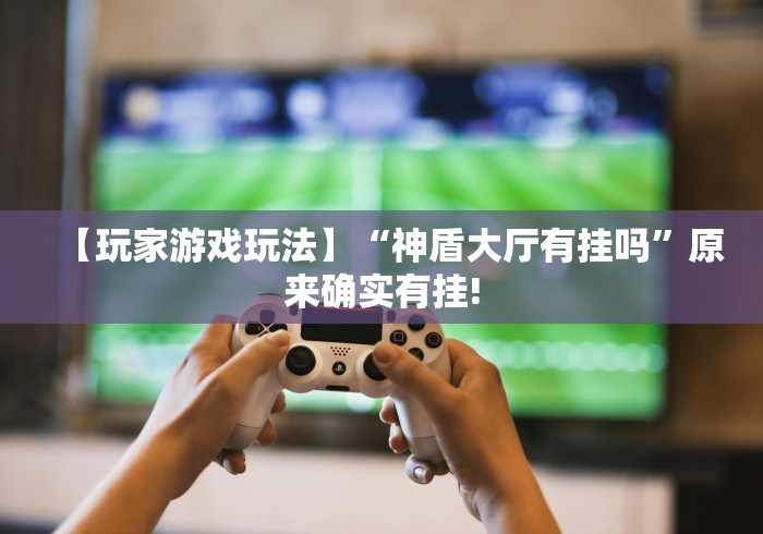 【玩家游戏玩法】“神盾大厅有挂吗”原来确实有挂!