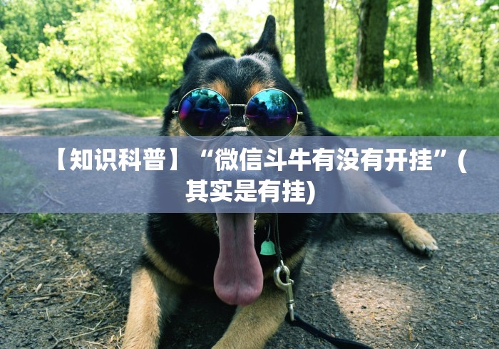 【知识科普】“微信斗牛有没有开挂”(其实是有挂)