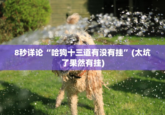 8秒详论“哈狗十三道有没有挂”(太坑了果然有挂)