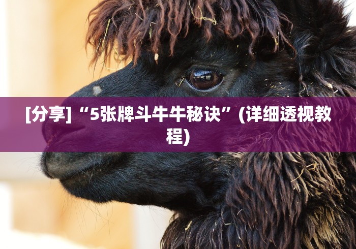 [分享]“5张牌斗牛牛秘诀”(详细透视教程)