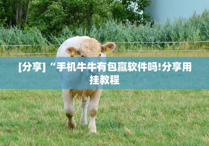 [分享]“手机牛牛有包赢软件吗!分享用挂教程