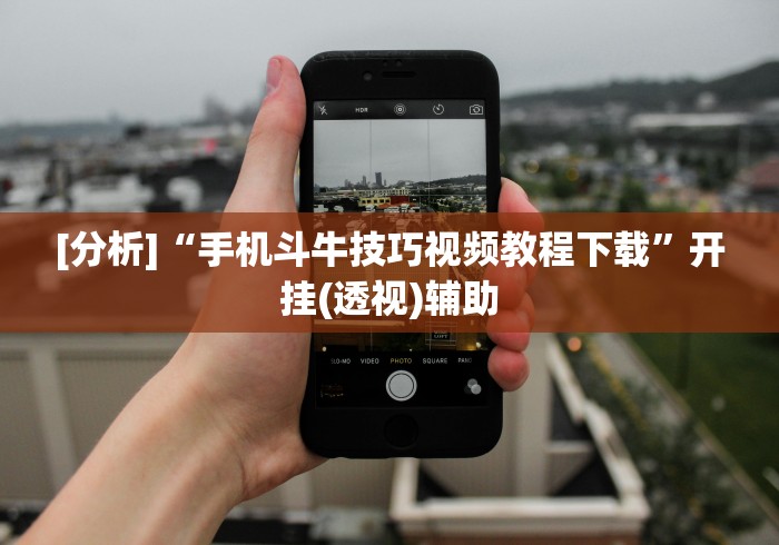 [分析]“手机斗牛技巧视频教程下载”开挂(透视)辅助