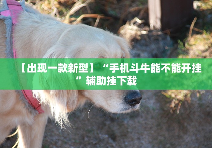 【出现一款新型】“手机斗牛能不能开挂”辅助挂下载 【出现一款新型】“手机斗牛能不能开挂”辅助挂下载