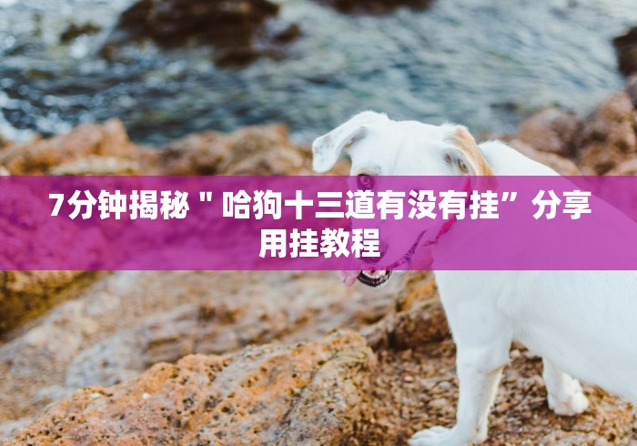 7分钟揭秘"哈狗十三道有没有挂”分享用挂教程 7分钟揭秘"哈狗十三道有没有挂”分享用挂教程