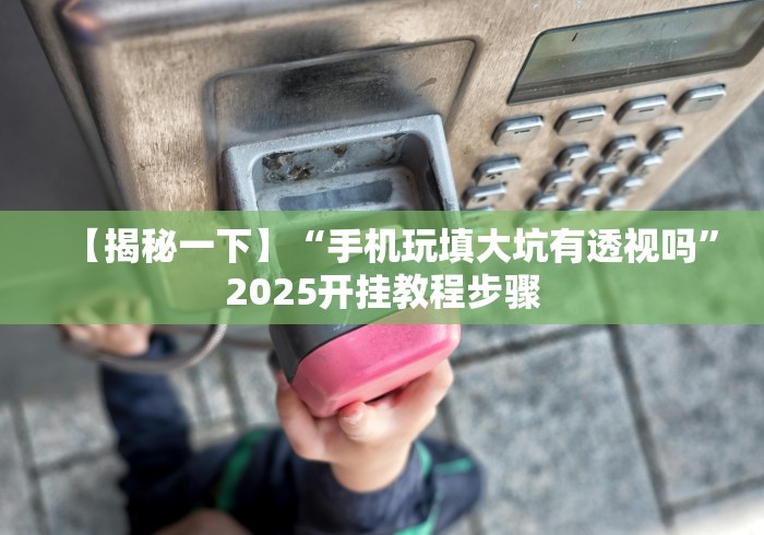 【揭秘一下】“手机玩填大坑有透视吗”2025开挂教程步骤