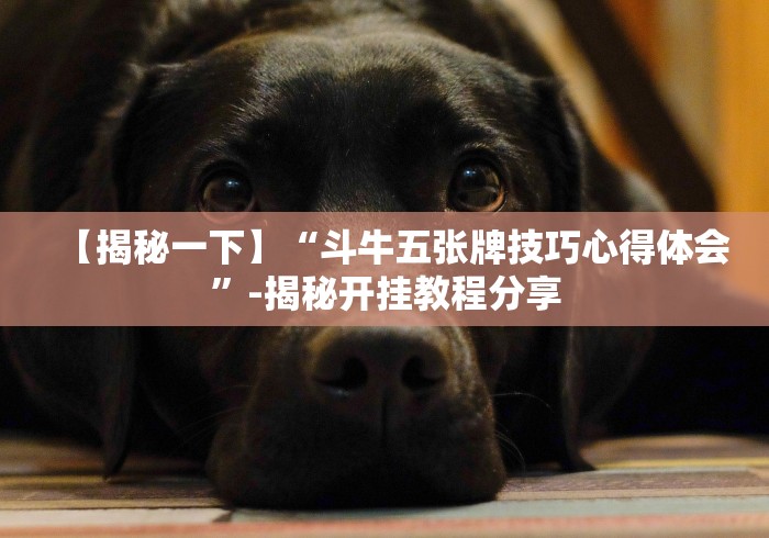 【揭秘一下】“斗牛五张牌技巧心得体会”-揭秘开挂教程分享