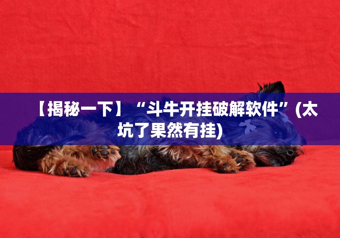 【揭秘一下】“斗牛开挂破解软件”(太坑了果然有挂)