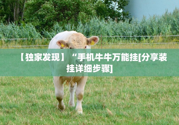 【独家发现】“手机牛牛万能挂[分享装挂详细步骤]