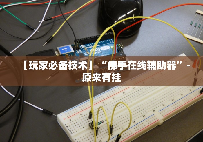 【玩家必备技术】“佛手在线辅助器”-原来有挂