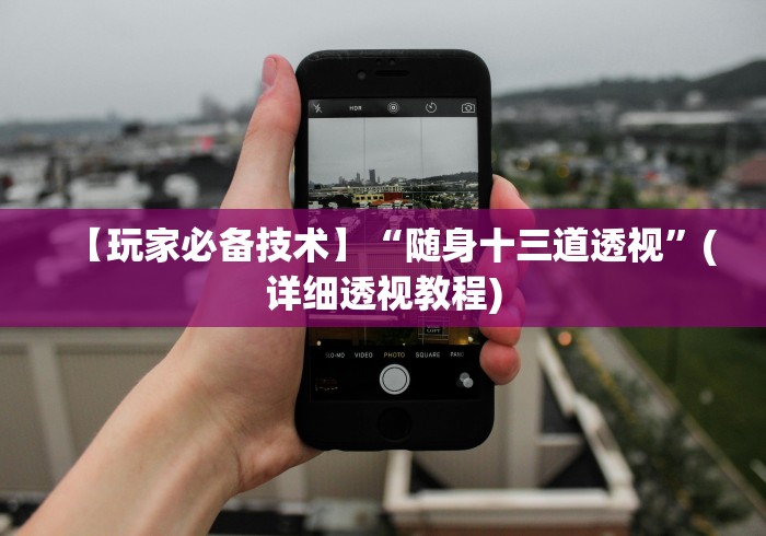 【玩家必备技术】“随身十三道透视”(详细透视教程)