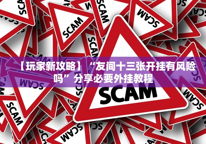 【玩家新攻略】“友间十三张开挂有风险吗”分享必要外挂教程