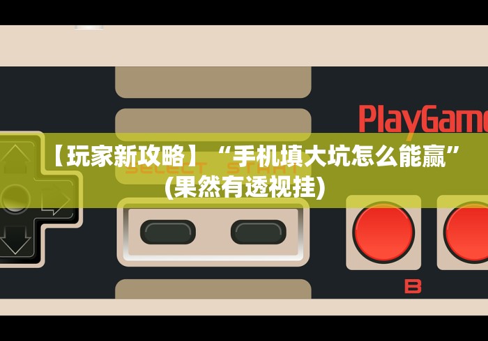 【玩家新攻略】“手机填大坑怎么能赢”(果然有透视挂) 【玩家新攻略】“手机填大坑怎么能赢”(果然有透视挂)