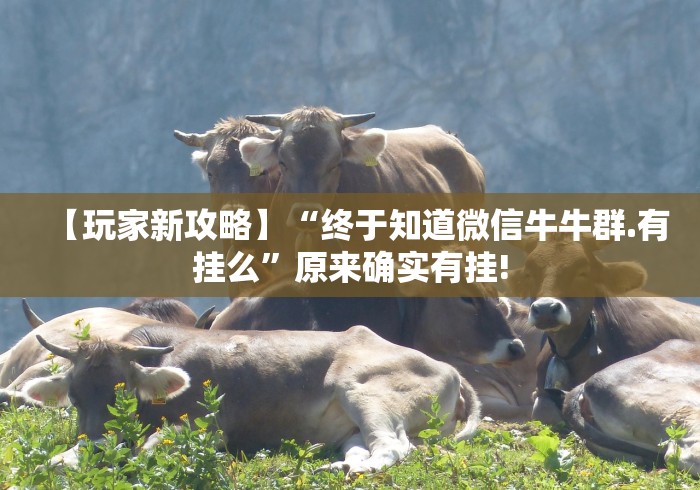 【玩家新攻略】“终于知道微信牛牛群.有挂么”原来确实有挂! 【玩家新攻略】“终于知道微信牛牛群.有挂么”原来确实有挂!