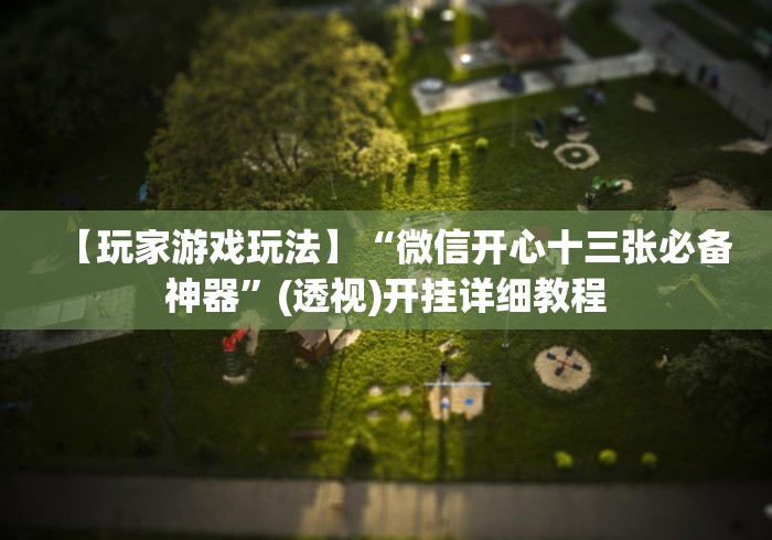 【玩家游戏玩法】“微信开心十三张必备神器”(透视)开挂详细教程