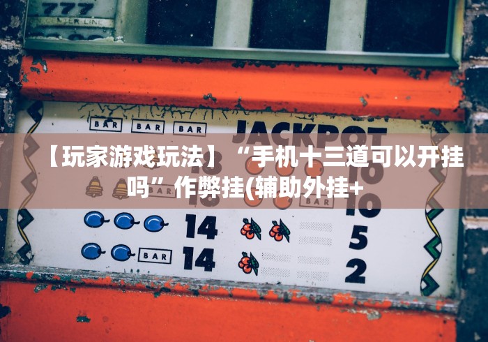 【玩家游戏玩法】“手机十三道可以开挂吗”作弊挂(辅助外挂+