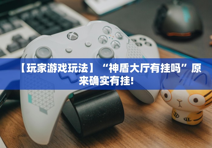 【玩家游戏玩法】“神盾大厅有挂吗”原来确实有挂!