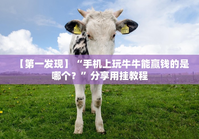 【第一发现】“手机上玩牛牛能赢钱的是哪个?”分享用挂教程 【第一发现】“手机上玩牛牛能赢钱的是哪个?”分享用挂教程