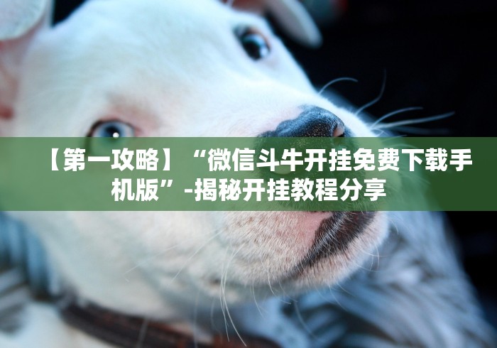 【第一攻略】“微信斗牛开挂免费下载手机版”-揭秘开挂教程分享 【第一攻略】“微信斗牛开挂免费下载手机版”-揭秘开挂教程分享