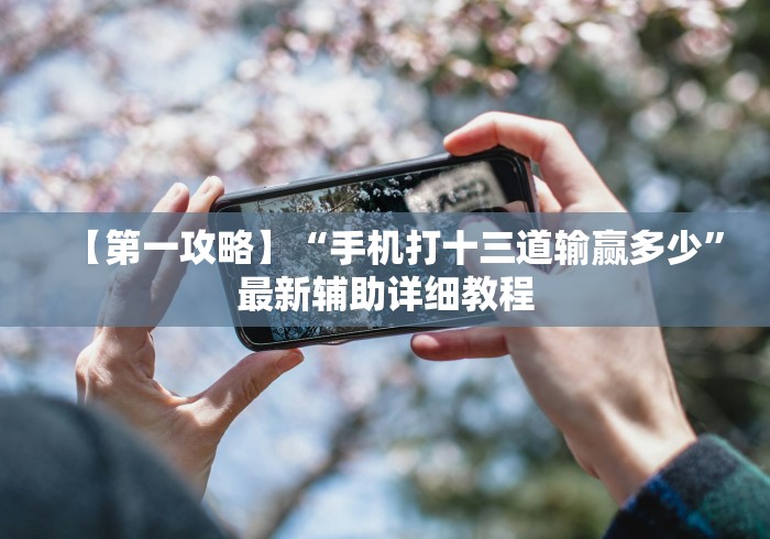 【第一攻略】“手机打十三道输赢多少”最新辅助详细教程