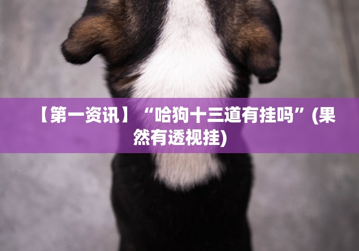 【第一资讯】“哈狗十三道有挂吗”(果然有透视挂) 【第一资讯】“哈狗十三道有挂吗”(果然有透视挂)