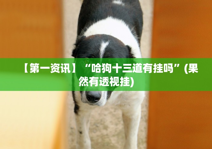 【第一资讯】“哈狗十三道有挂吗”(果然有透视挂) 【第一资讯】“哈狗十三道有挂吗”(果然有透视挂)