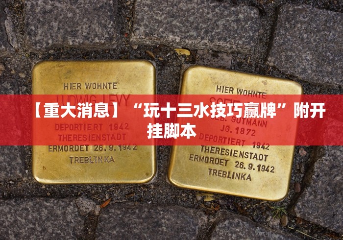 【重大消息】“玩十三水技巧赢牌”附开挂脚本 【重大消息】“玩十三水技巧赢牌”附开挂脚本