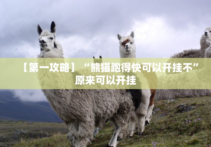 【第一攻略】“熊猫跑得快可以开挂不”原来可以开挂