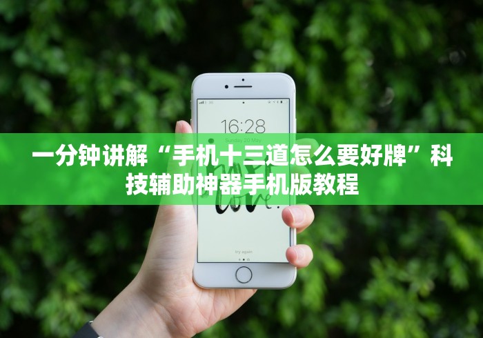 一分钟讲解“手机十三道怎么要好牌”科技辅助神器手机版教程