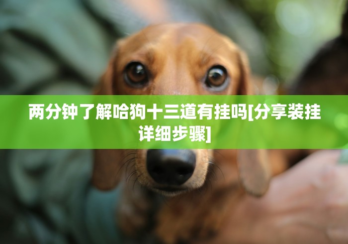 两分钟了解哈狗十三道有挂吗[分享装挂详细步骤]