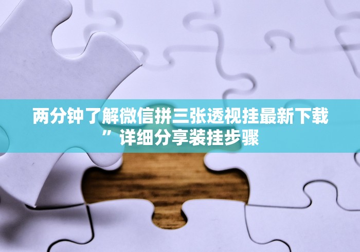 两分钟了解微信拼三张透视挂最新下载”详细分享装挂步骤