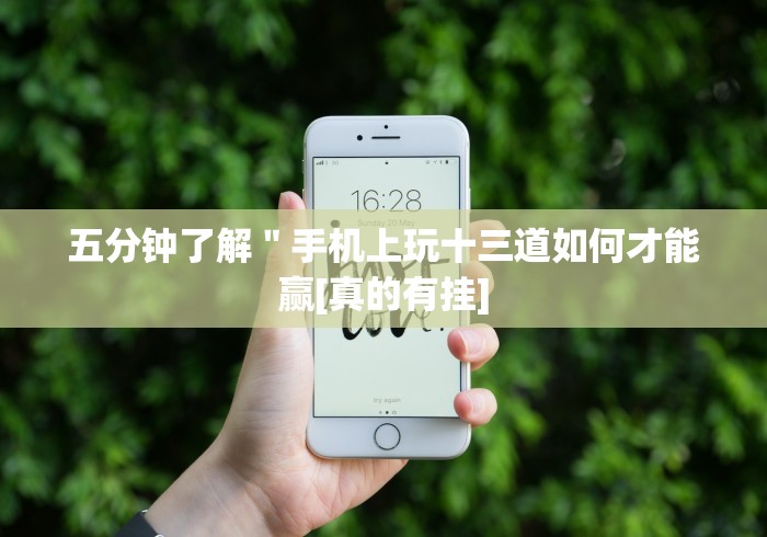 五分钟了解＂手机上玩十三道如何才能赢[真的有挂]