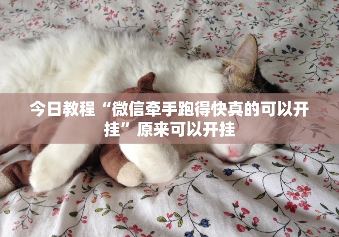 今日教程“微信牵手跑得快真的可以开挂”原来可以开挂