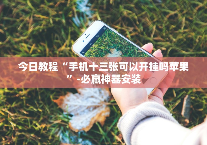 今日教程“手机十三张可以开挂吗苹果”-必赢神器安装