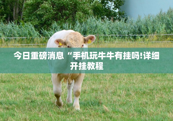 今日重磅消息“手机玩牛牛有挂吗!详细开挂教程