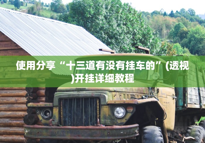 使用分享“十三道有没有挂车的”(透视)开挂详细教程