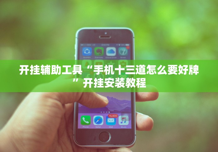 开挂辅助工具“手机十三道怎么要好牌”开挂安装教程