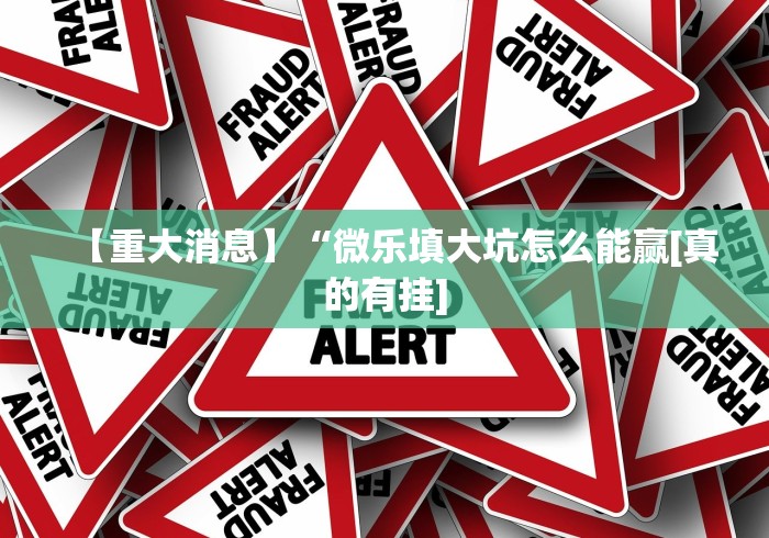 【重大消息】“微乐填大坑怎么能赢[真的有挂]