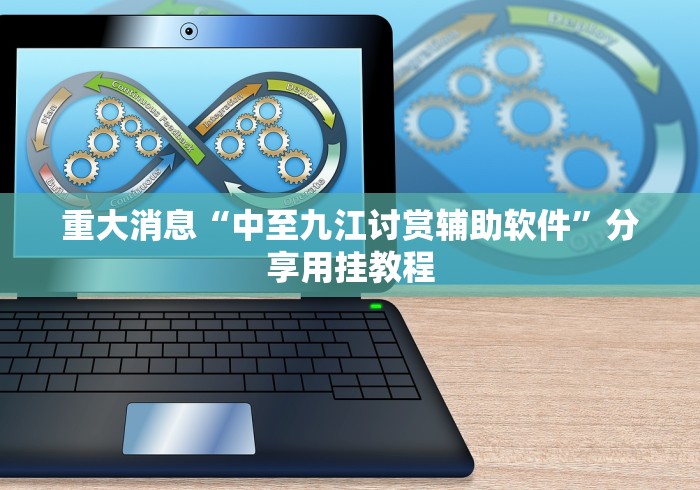 重大消息“中至九江讨赏辅助软件”分享用挂教程