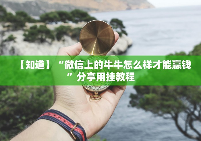 【知道】“微信上的牛牛怎么样才能赢钱”分享用挂教程