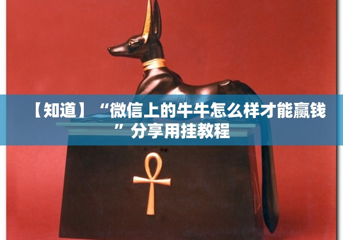 【知道】“微信上的牛牛怎么样才能赢钱”分享用挂教程