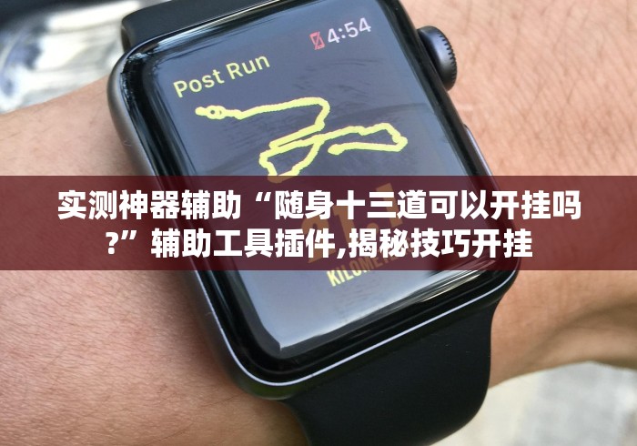 实测神器辅助“随身十三道可以开挂吗?”辅助工具插件,揭秘技巧开挂
