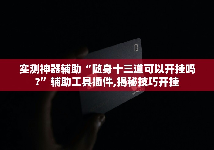 实测神器辅助“随身十三道可以开挂吗?”辅助工具插件,揭秘技巧开挂