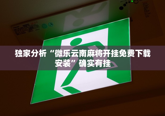 独家分析“微乐云南麻将开挂免费下载安装”确实有挂