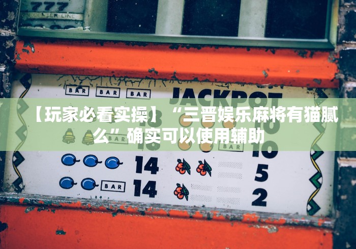 【玩家必看实操】“三晋娱乐麻将有猫腻么”确实可以使用辅助