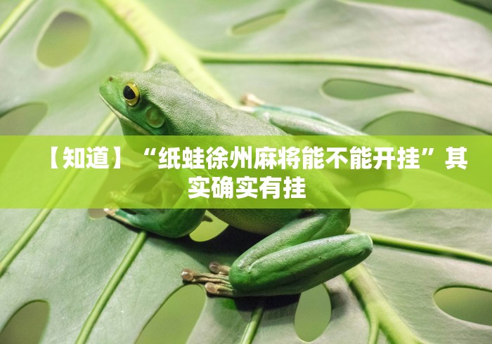 【知道】“纸蛙徐州麻将能不能开挂”其实确实有挂