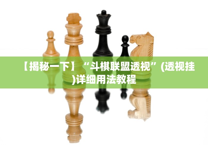 【揭秘一下】“斗棋联盟透视”(透视挂)详细用法教程
