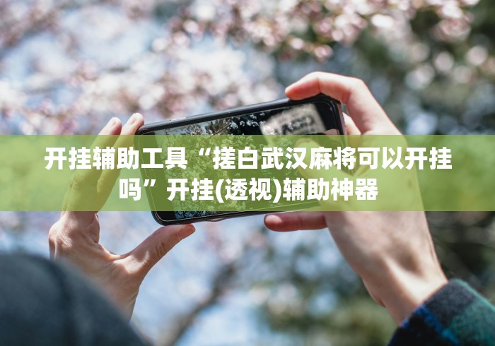 开挂辅助工具“搓白武汉麻将可以开挂吗”开挂(透视)辅助神器